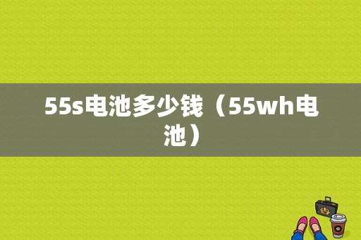 55s电池多少钱（55wh电池）