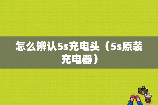 怎么辨认5s充电头（5s原装充电器）-图1