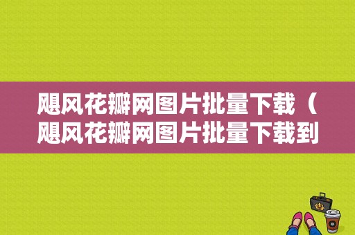 飓风花瓣网图片批量下载（飓风花瓣网图片批量下载到手机）-图1