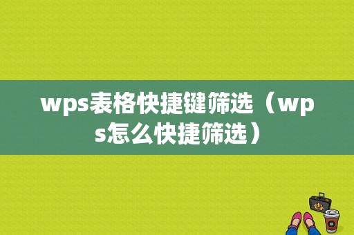 wps表格快捷键筛选（wps怎么快捷筛选）