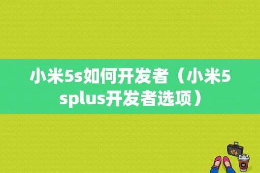 小米5s如何开发者（小米5splus开发者选项）