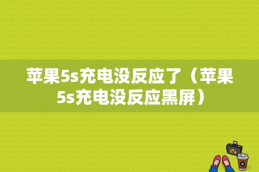 苹果5s充电没反应了（苹果5s充电没反应黑屏）