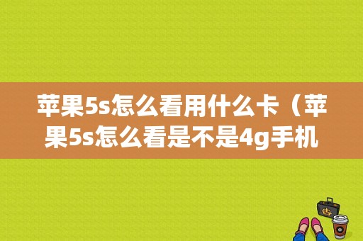 苹果5s怎么看用什么卡（苹果5s怎么看是不是4g手机）