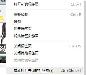 网页还原快捷键（还原关闭的网页）-图3