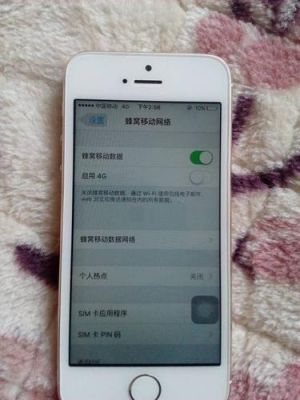 5s不能用4g网络（5s不能用4g了）-图3