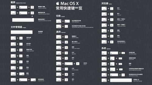 mac搜索应用快捷键（mac搜索应用快捷键是什么）