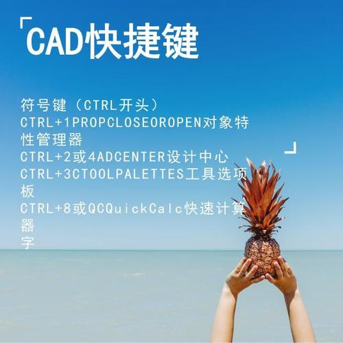 cad快捷键壁纸（cad快捷键壁纸桌面壁纸）-图2