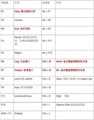 sas程序运行快捷键（sas运行的快捷键）-图1