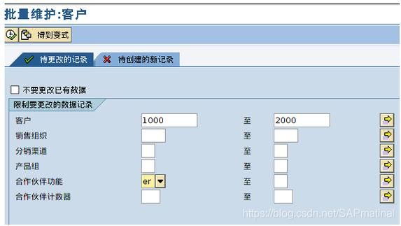 sap批量建角色（sap批量修改）