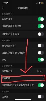 5s微信怎么换铃声（5s微信怎么换铃声的）-图3