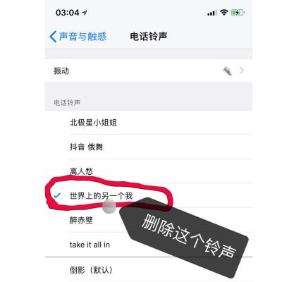 5s怎么删除铃声（删除铃声怎么删）-图3