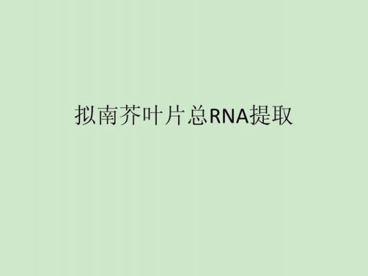 批量下载拟南芥蛋白（拟南芥种子rna提取）