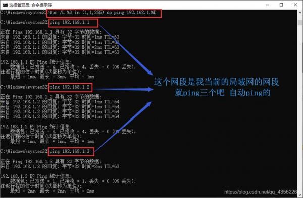 批量ping比较（批量对比数据）-图3