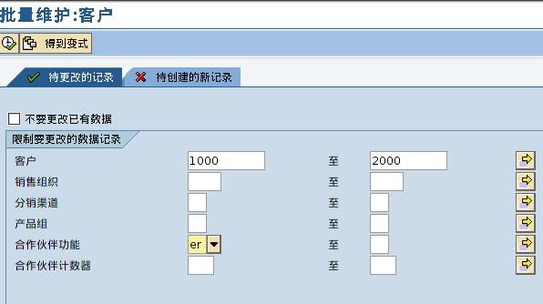 sap批量注释（sap批量大小字段说明）-图3