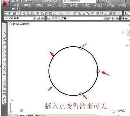 cad快捷键等分园（cad如何等分园）-图1