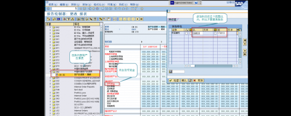 sap资产批量查看（sap如何查询资产负债表）-图2